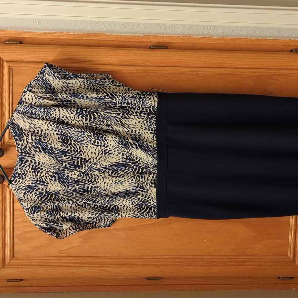 EXPRESS dress